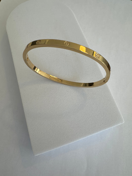 Smalle Edelstaal Armband Met Schroef