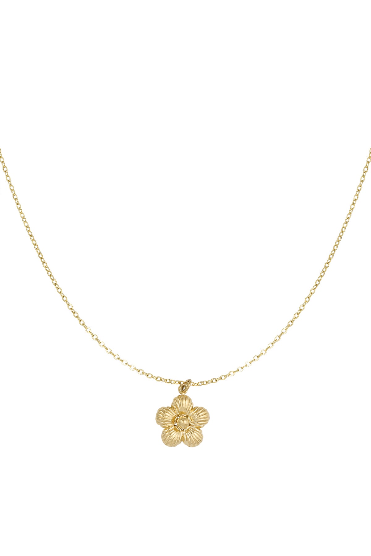 Ketting Daisy - Gold color
