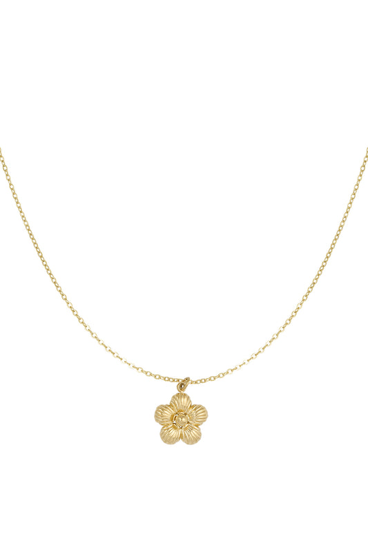 Ketting Daisy - Gold color